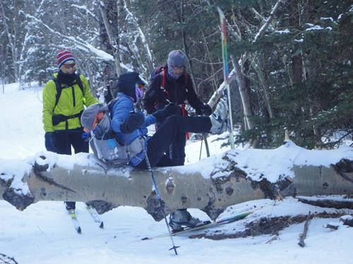 {168 si gal} crosses a fallen tree on the trail to Eagle Hill, while {428 al sig} and {944 s se} wait their turn