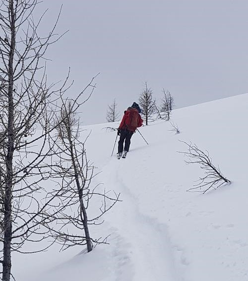 Dave and Kim on the uptrack