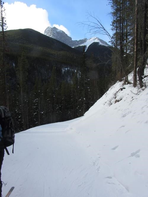 Mount Kidd from the Ribbon trail hill
