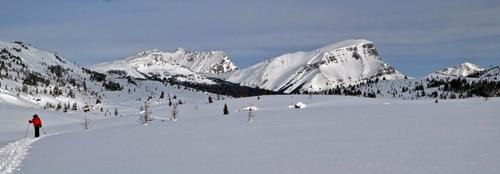 North from Sunshine Meadows towards Mt. Bourgeau (I think)