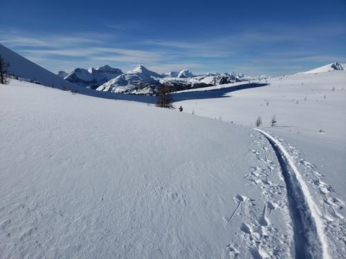 View north from Citadel Pass towards Quartz Ridge (Alberta)