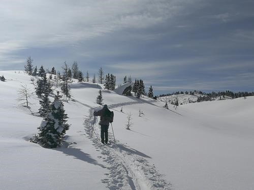 Skiing south across Sunshine Meadows towards Quartz Ridge and Citadel Pass