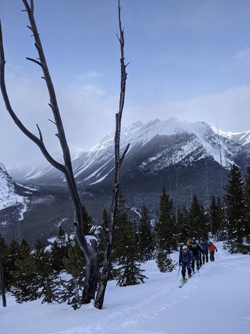 Up through the skiable terrain