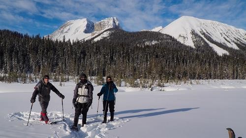 Ramblers in winter sun.