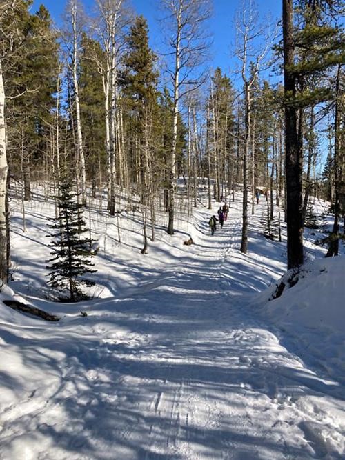 Along the Sunny Trail