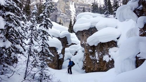 Mark standing next to nature's art work.