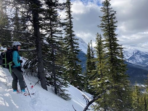 Barb looking for a way down 