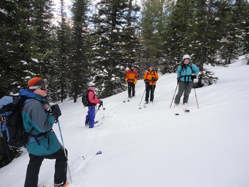 Jim,Jenny,Andre,Tina,Barb looking for those lost souls somewhere in the trees