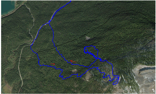 Tracks from my gps best skiing by the red down arrow