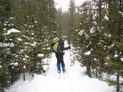 Clifton near the campground at Ribbon Falls in Kananaskis 