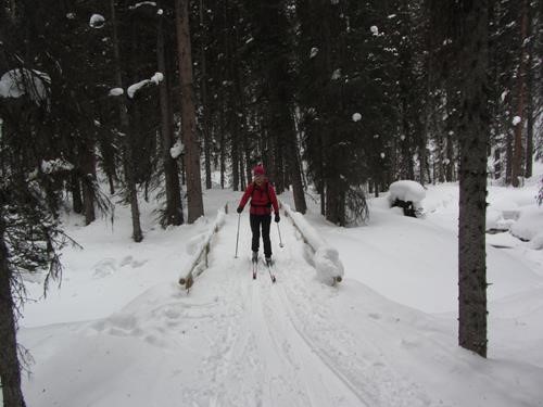 {1514 Son Gal} crossing Fox Creek in the enchanted forest