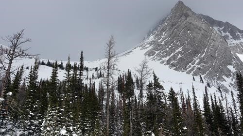 View of route between Birdwood and Snow Peak