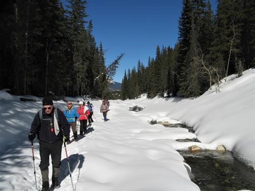 A pleasant walk along the creek