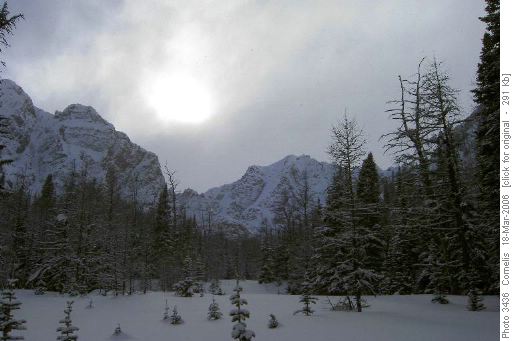 South East of O'Brian Lake, looking West