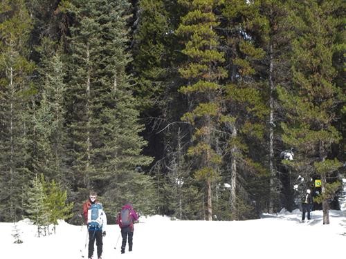 sunny meadow along Lower Telemark