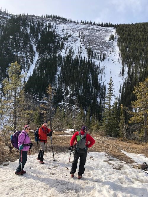 Looking towards Vent Ridge from Prairie Creek Trail