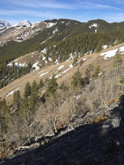 {1874 pa cox} at the scrambling section