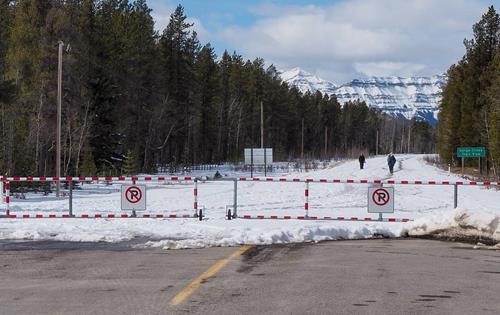 {1445 Christine McNamara}