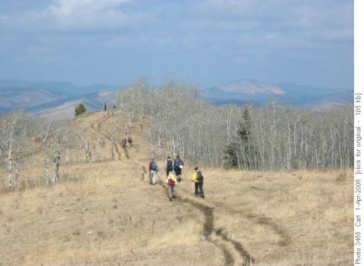 Sunny day on Carey Ridge