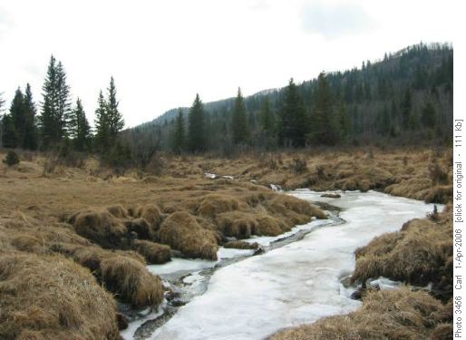 Spring freshet in valley below John Ware Ridge