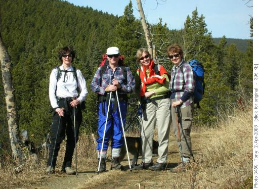 Sulphur Springs group