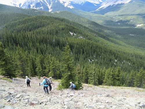 Clear sailing on open meadows
