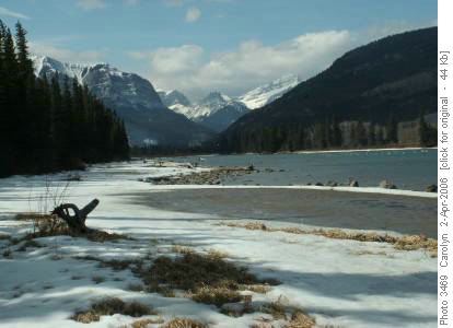 Bow Valley Springtime