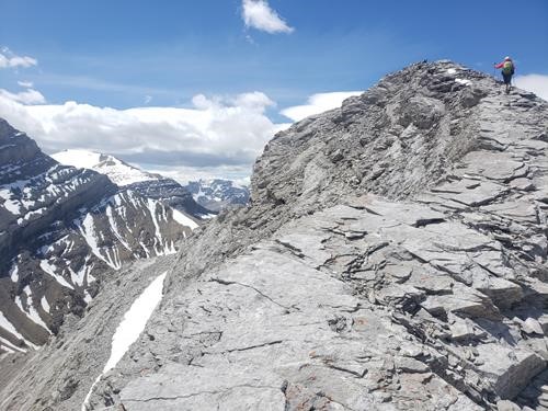 {2273 Brian Robinson}