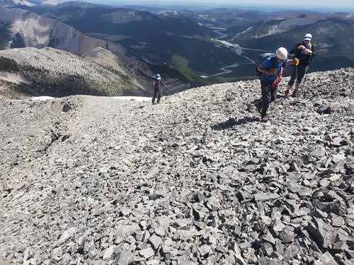 {2273 Brian Robinson}