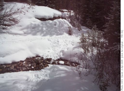 Creek Crossing, Paradise Valley