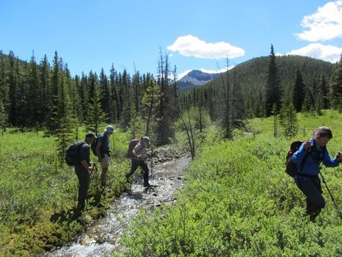 Creek crossing on Boundary Peak hike