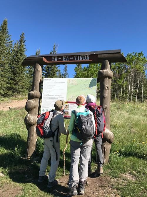 {1456 Clifton Potter}