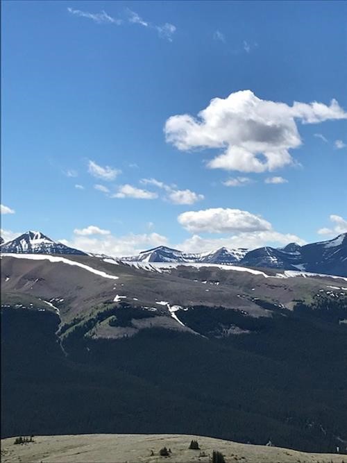 {1456 Clifton Potter}