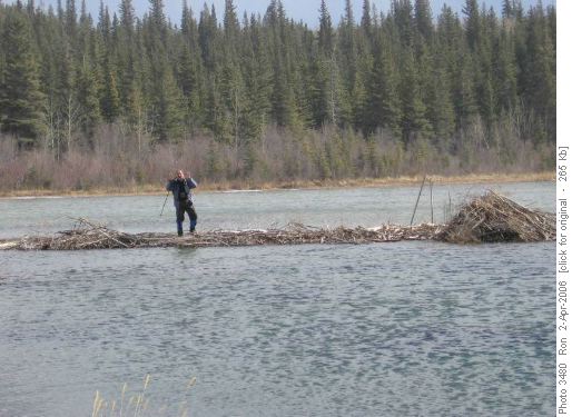 {201 Ron Mason} on the dam less travelled