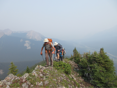 David and the gang leaving tree line