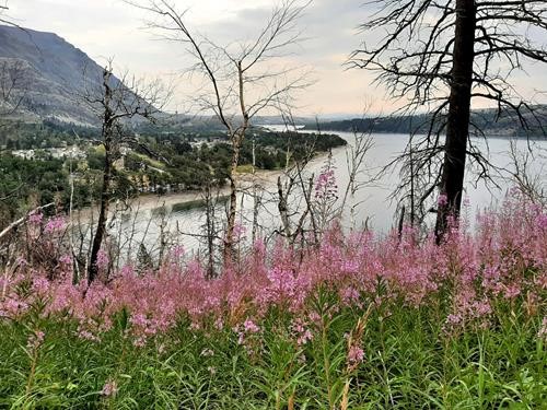 View of Waterton Lakes from the trail to Bertha Lake.
