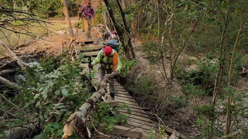 The broken bridge we crossed amidst the deadfall.