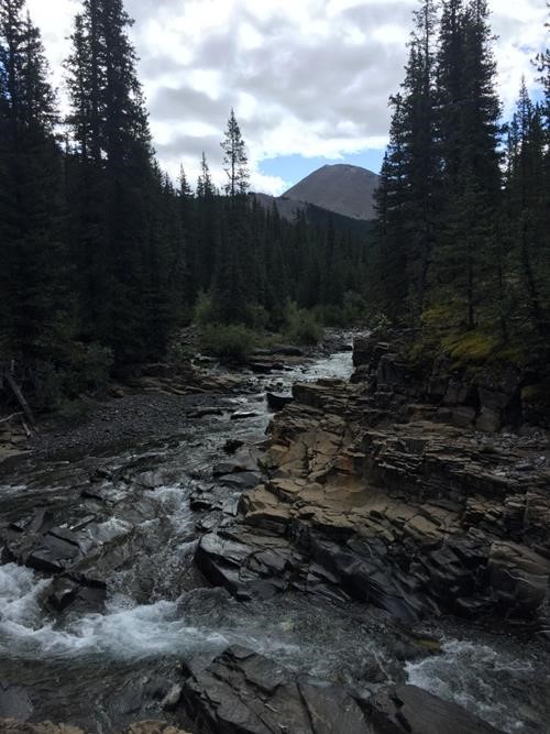 Cougar creek with Bluerock north outlier in the distance and just before it the west ridge of Rose