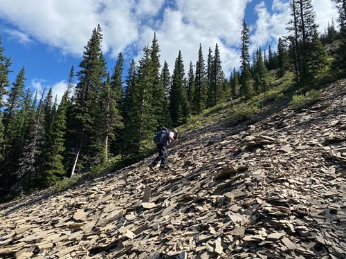 {1288 b pi} ascending crunchy shale