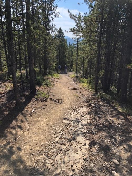 The trail going up