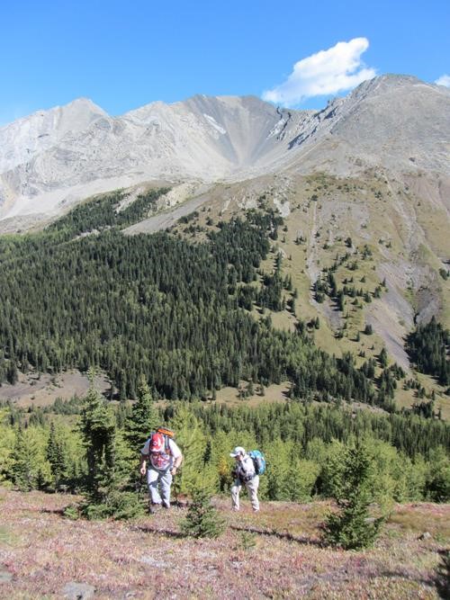 {2335 Keith Jo} & {1314 Barb Bru} on the steep ascent to East Mist Hill