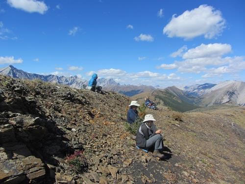Lunch on East Mist Hill