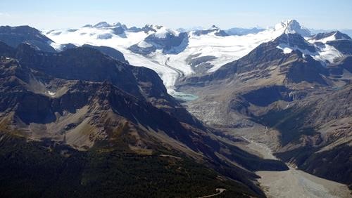 The Peyto Glacier and Wapta Icefield
