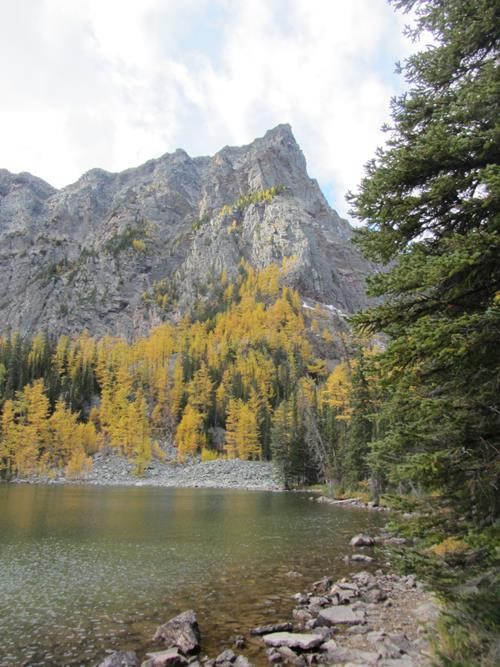 Arnica Lake