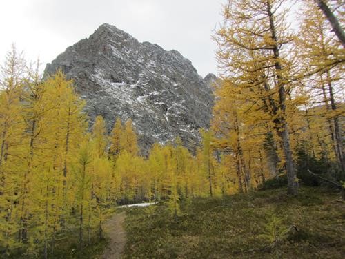 Arnica summit and outlier of Storm Mtn