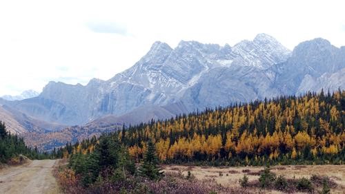 View of Rae from Tombstone Pass.