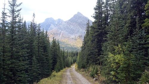 Descending from the pass with Mount Rae in the distance.