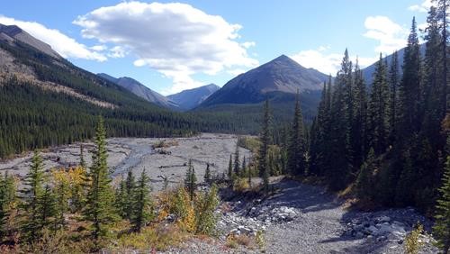 Elbow river valley still showing the impact of the 2013 flood.