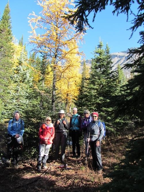 Starting up through the larch forest- coats did not stay on for long
