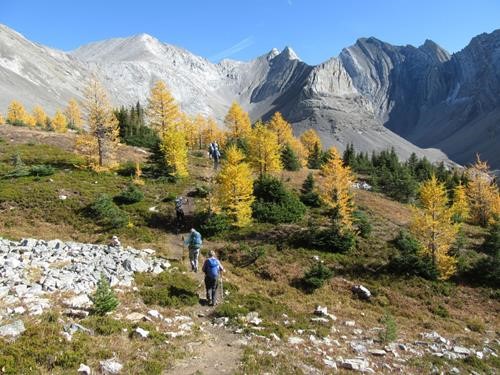Heading into the meadows, Storm Mtn beyond